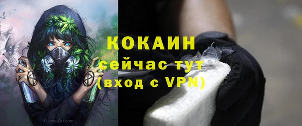 гидра Медвежьегорск