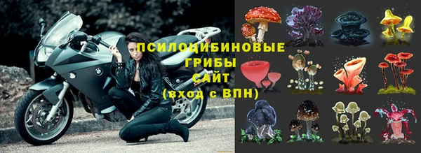соль ск Магас