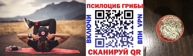 Псилоцибиновые грибы Cubensis  Купить где  Кадников 